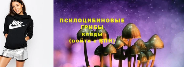 дурь Михайловск