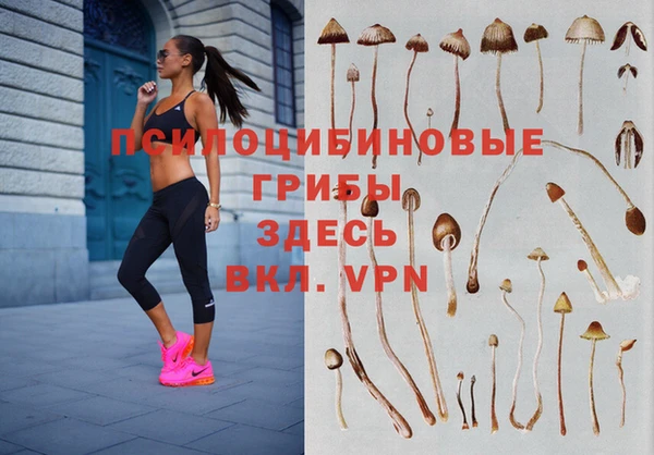 крисы Алапаевск