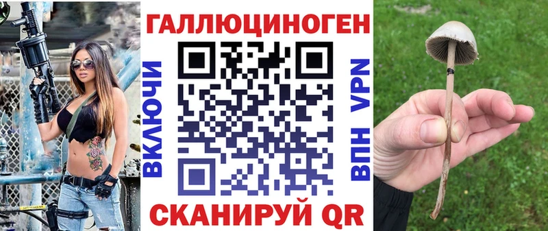 Купить закладки  Красновишерск  Галлюциногенные грибы Psilocybe 